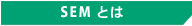 SEM�Ƃ�