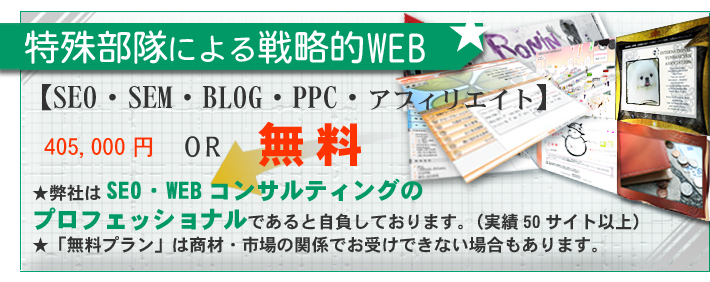 ���ꕔ���ɂ��헪�IWEB