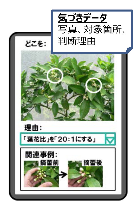 福岡